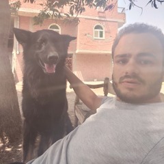 Mahmoud Elzanaty
