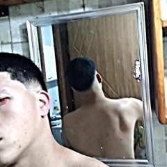 thzim_244