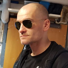 Dzieciol Stalowy