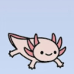 Little axolotl