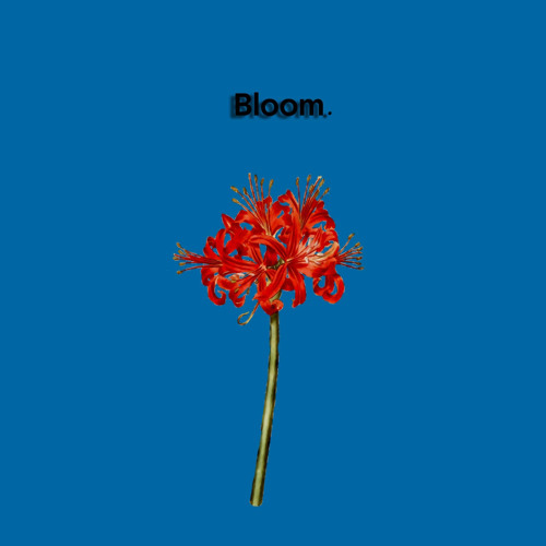 Bloom.’s avatar