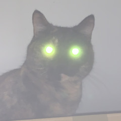 SavageLei🗡️🗡️🗡️