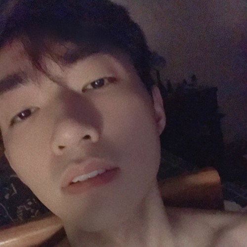 Đồi hoa mặt trời | mix 「zenjichen」