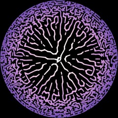 camouio
