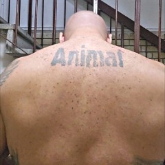Serbian Animal