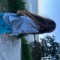 user2579753
