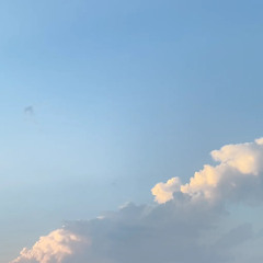 𝐌𝐚𝐧𝐚𝐥