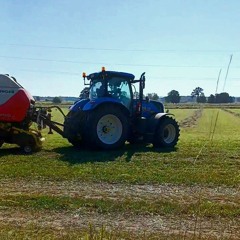 🌾Tim Bengtsson🌾