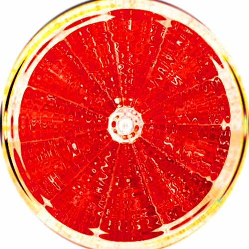 Grapefruit Studio’s avatar