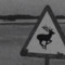﮼حسايف 🦌.