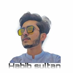 Habib Sultan