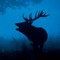 The Mystic Deer ╰▽╯