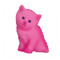 PinkKittyCat