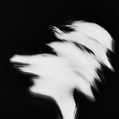 RCØ