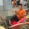 Quang Phang hết