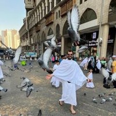 مصطفى محمد