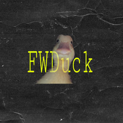 FWDuck
