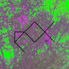 dedex