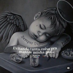guizeravsfd
