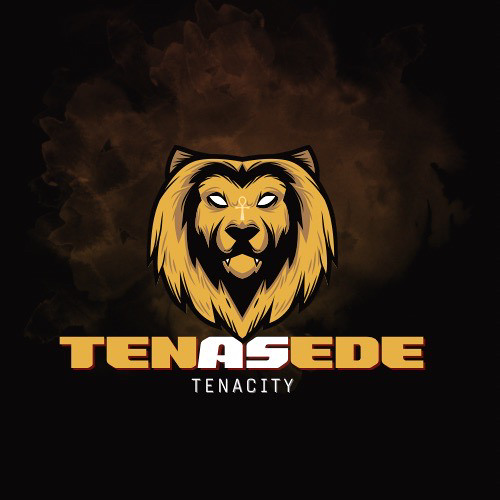 Tenasede Inc.’s avatar