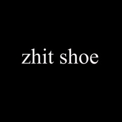 Zhit Shoe
