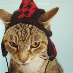 kit_kat