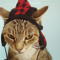 kit_kat