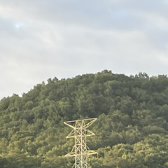 6trail