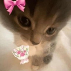 Sara ☯♡♥︎