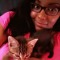 stormy kitty