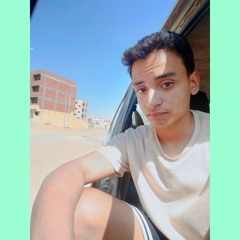 Abdo M. Hfni