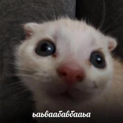 Karaseld0