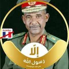Mohieldeen Mirgani