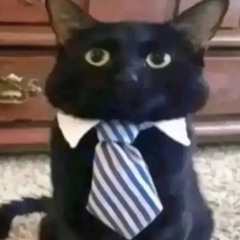 Kushkitty
