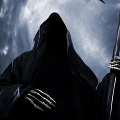 Entity Enigma