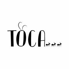 Projeto TOCA