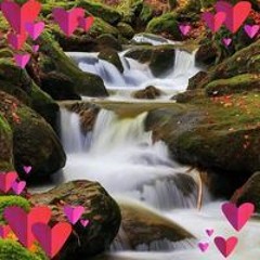 Andries Phuti