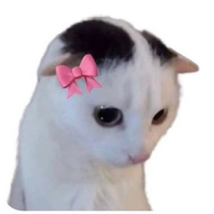 gina