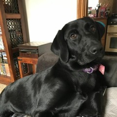 Ken Ferguson Composer