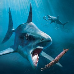 Helicoprion