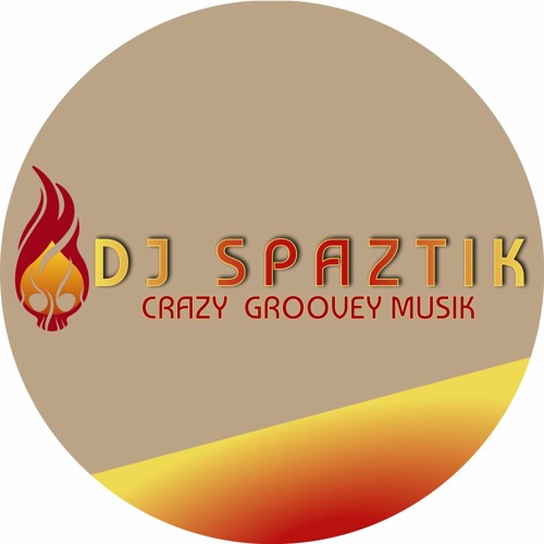DJ SPAZTIK’s avatar