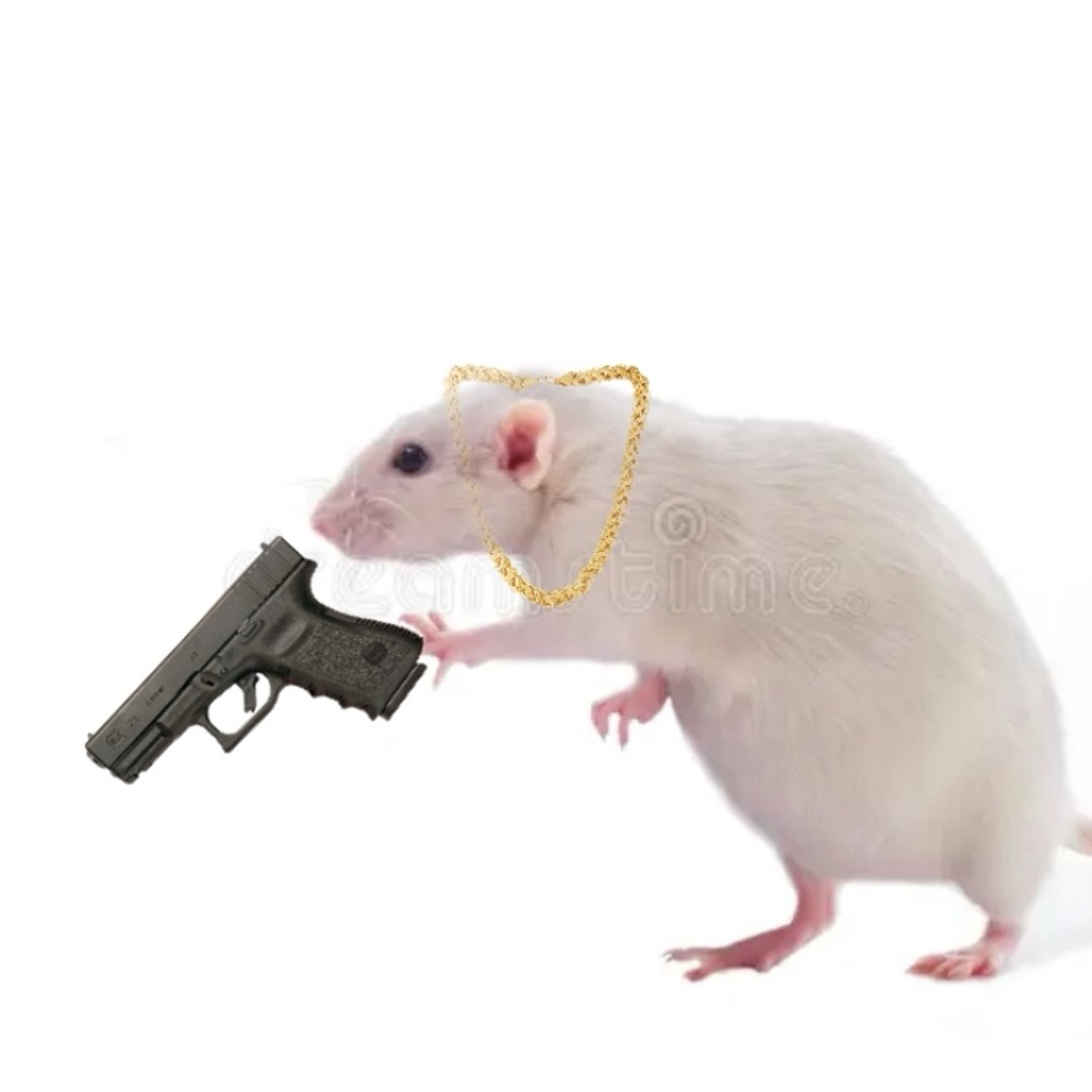 Stream Lil Rat music | Listen to songs, albums, playlists for free