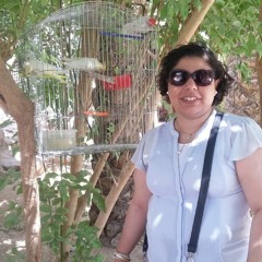 Mona Magdy