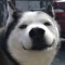 Jonh Wolfy
