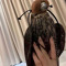 غللايّ .