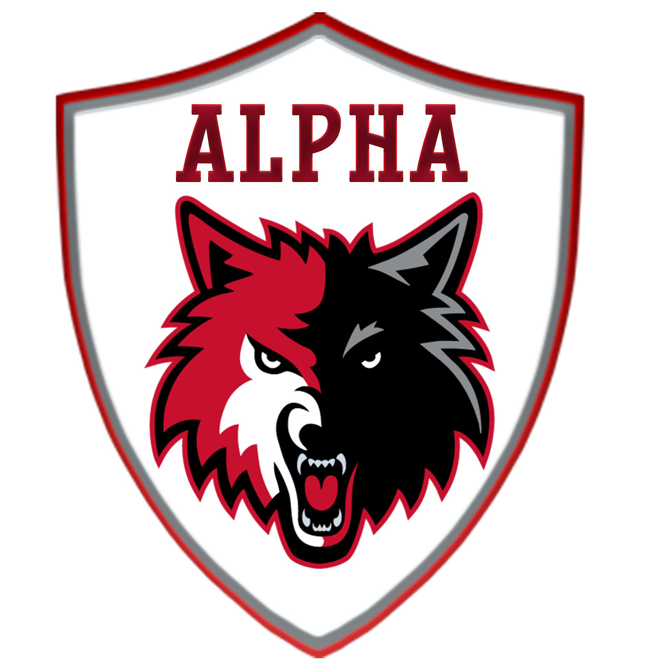 Dj Alpha podcast artwork