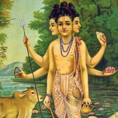 Kashi Light