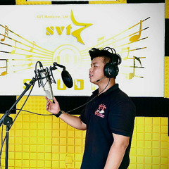 Việt Sino
