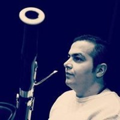 Amirhossein Mohammadian