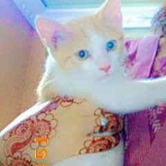 Ashi Khan